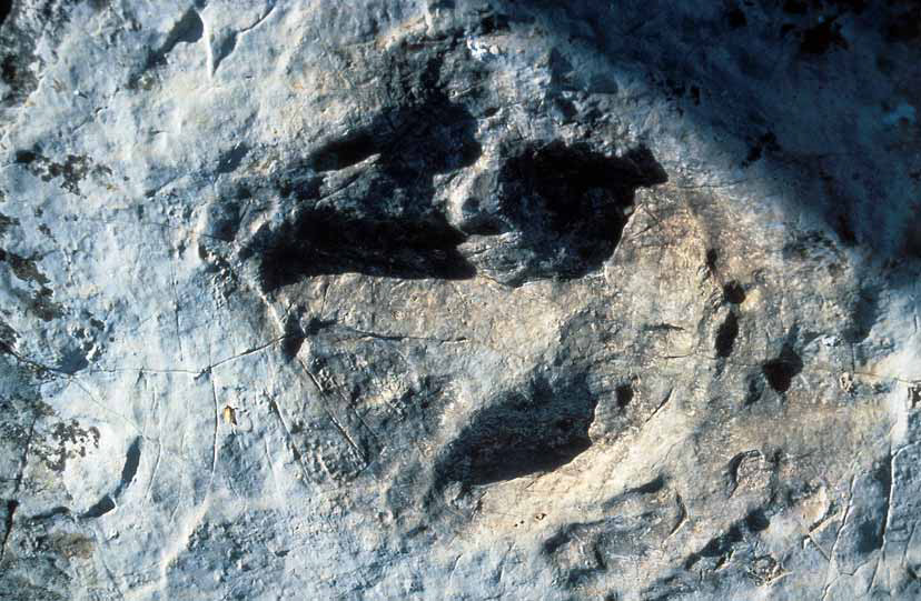 Empreintes dinosaures