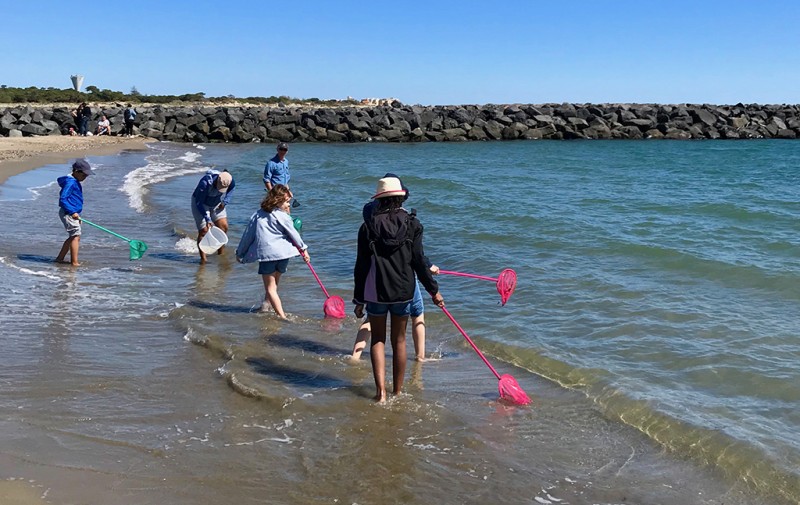 Participants à la petite Pêche À Pied, les pieds dans l'eau avec des épuisettes
