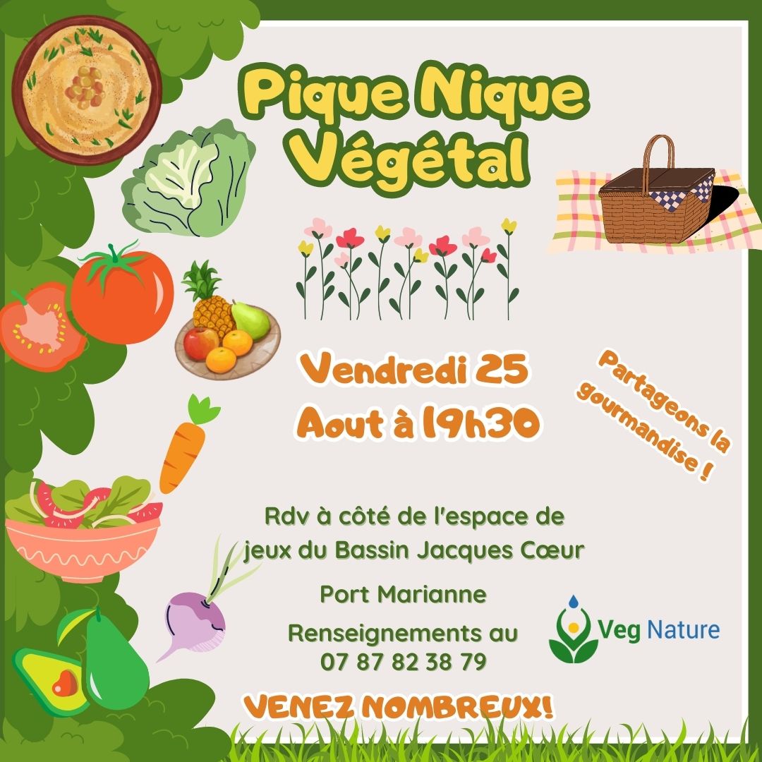 Pique Nique Végétal partagé à Montpellier