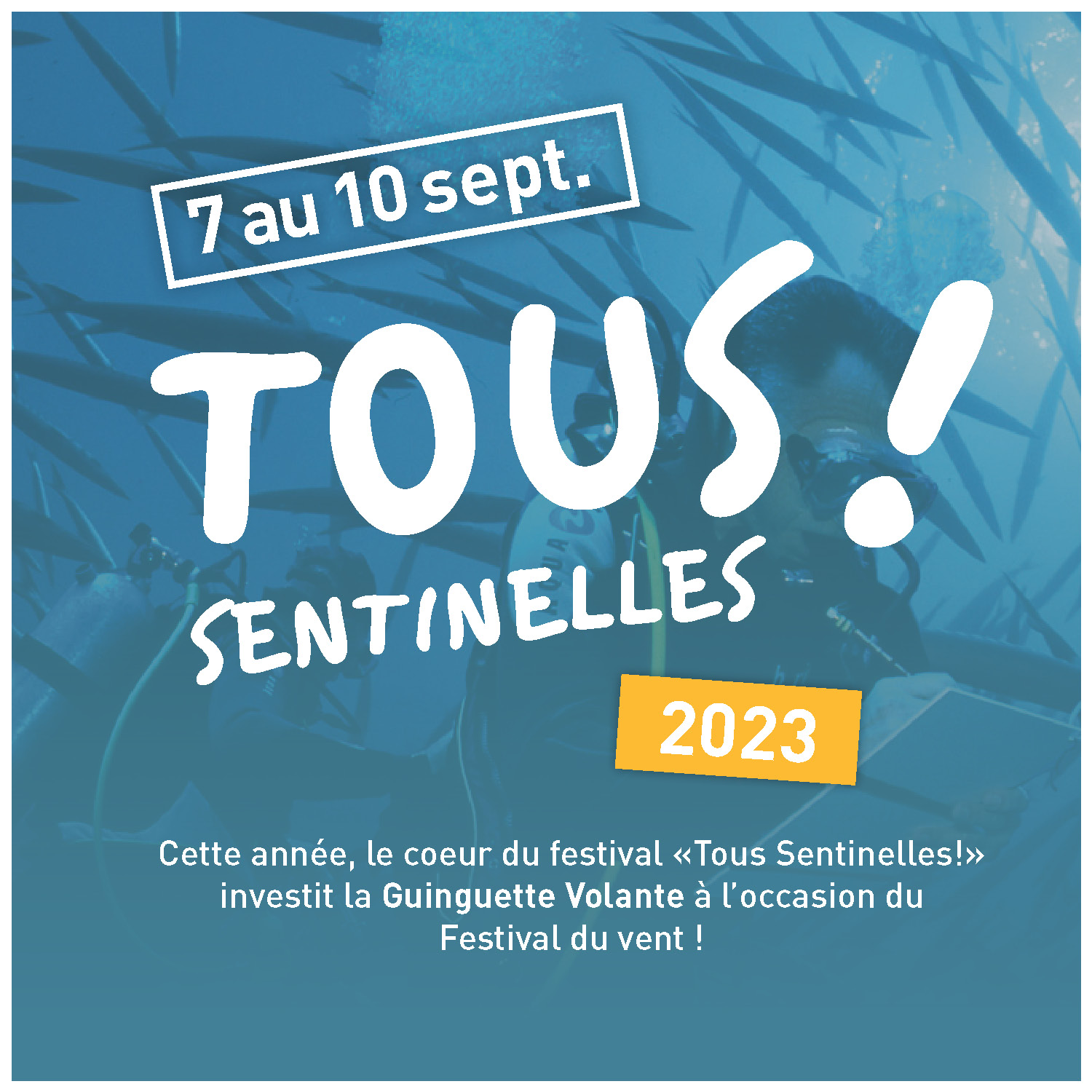 Festival "Tous Sentinelles !" 2023 ! Du 7 au 10 septembre. Cette année le coeur du festival investit la Guinguette Volante à l'occasion du Festival du Vent !