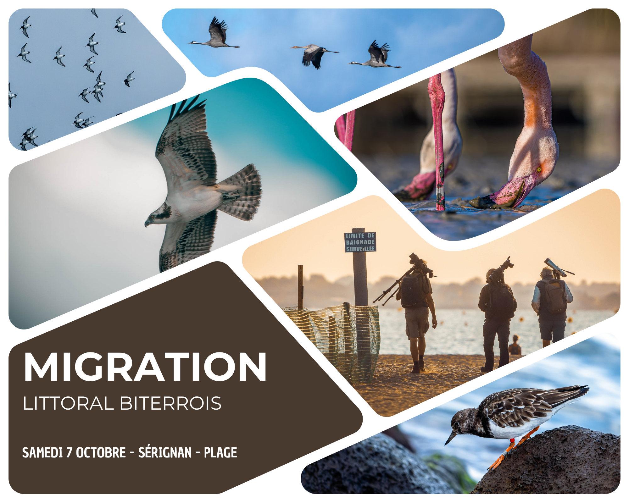 Migration