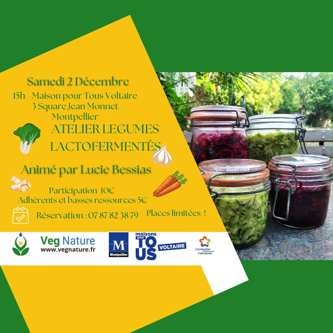 Atelier legumes lactofermentés à Montpellier