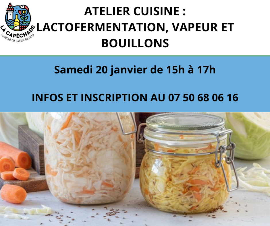 Atelier Lactofermentation