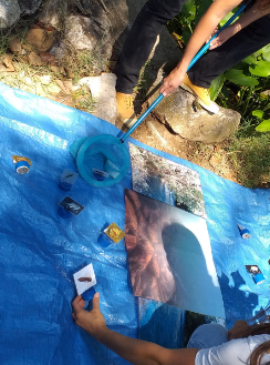 petite pêche