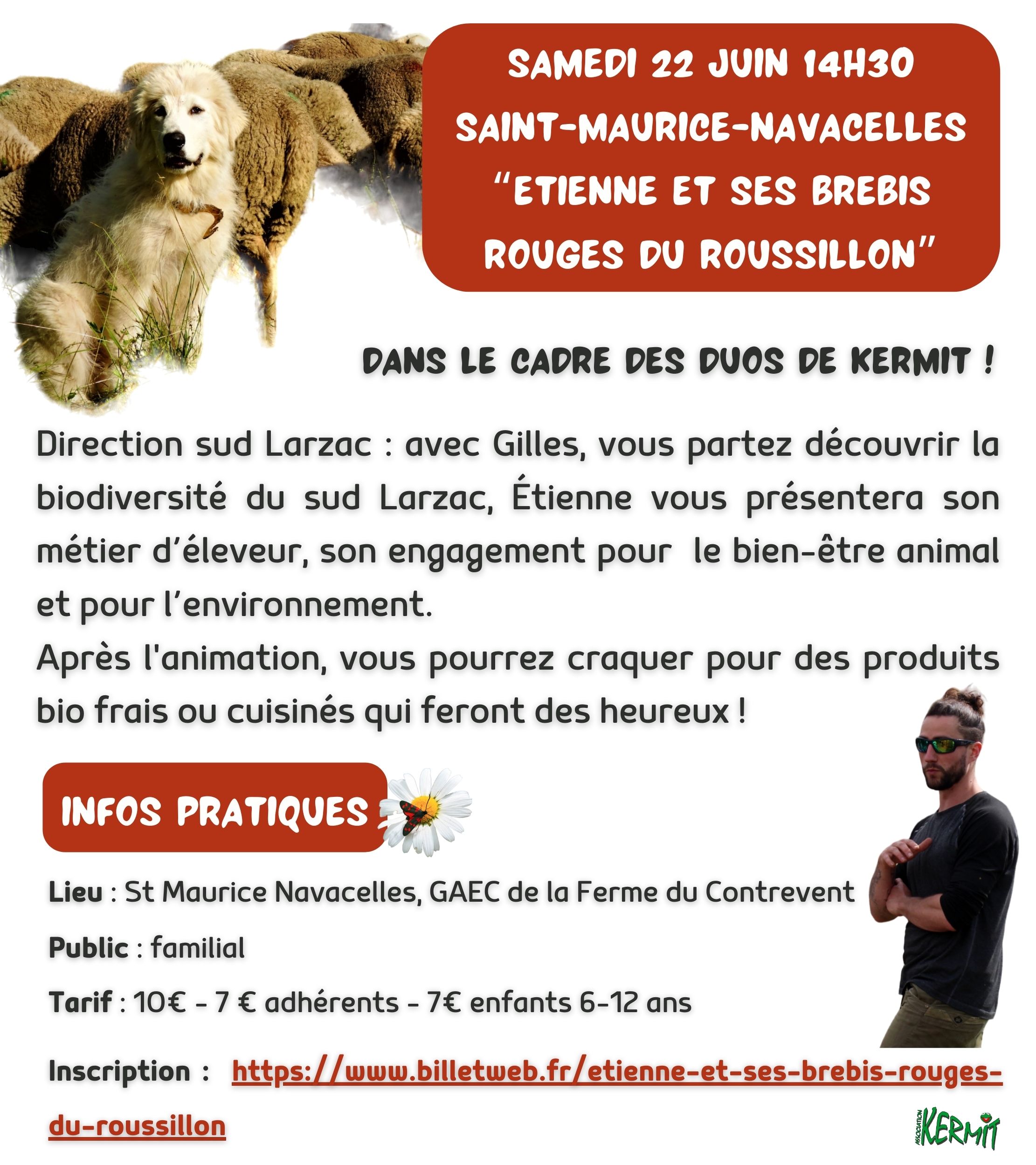 Etienne et ses brebis