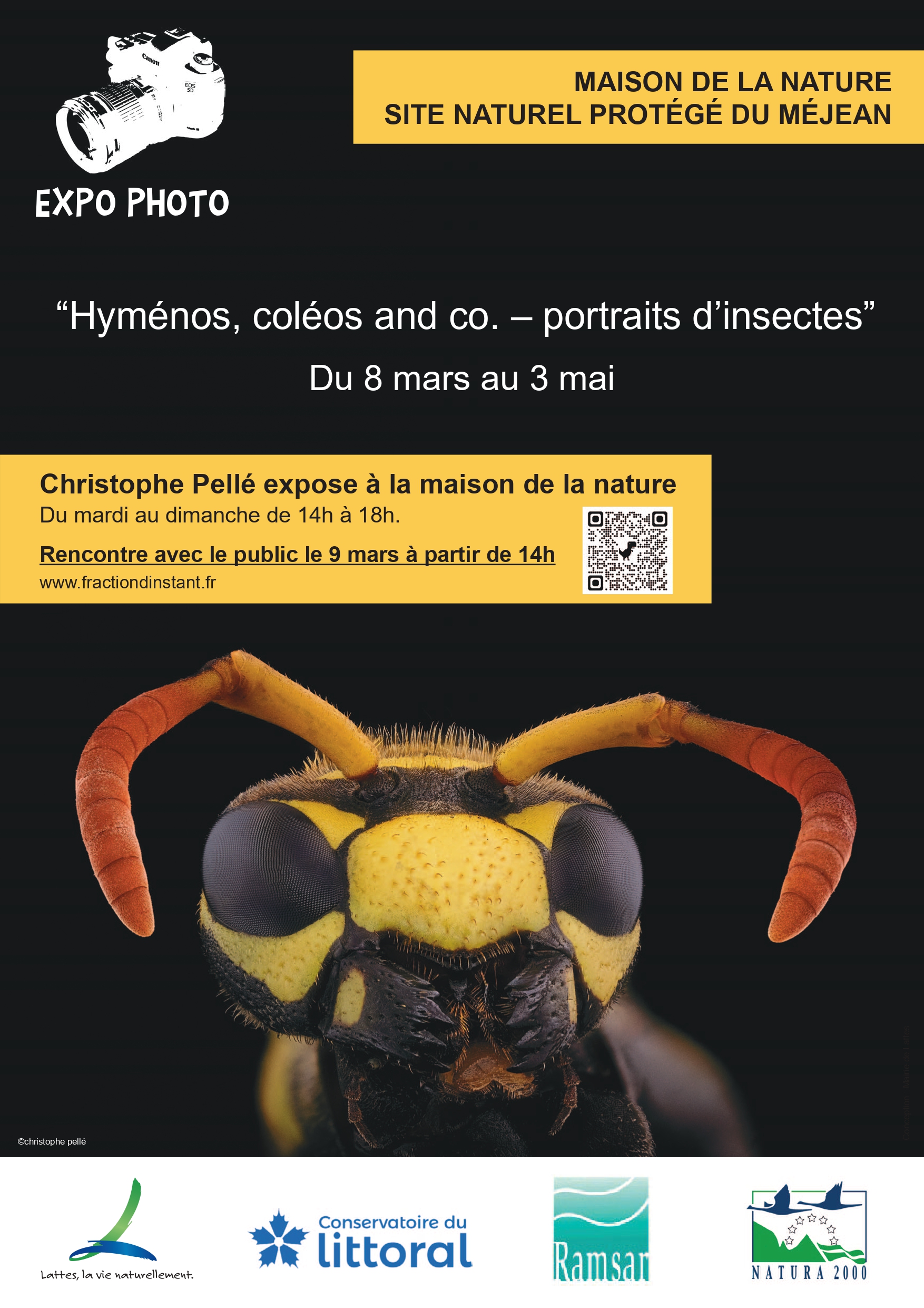 affiche