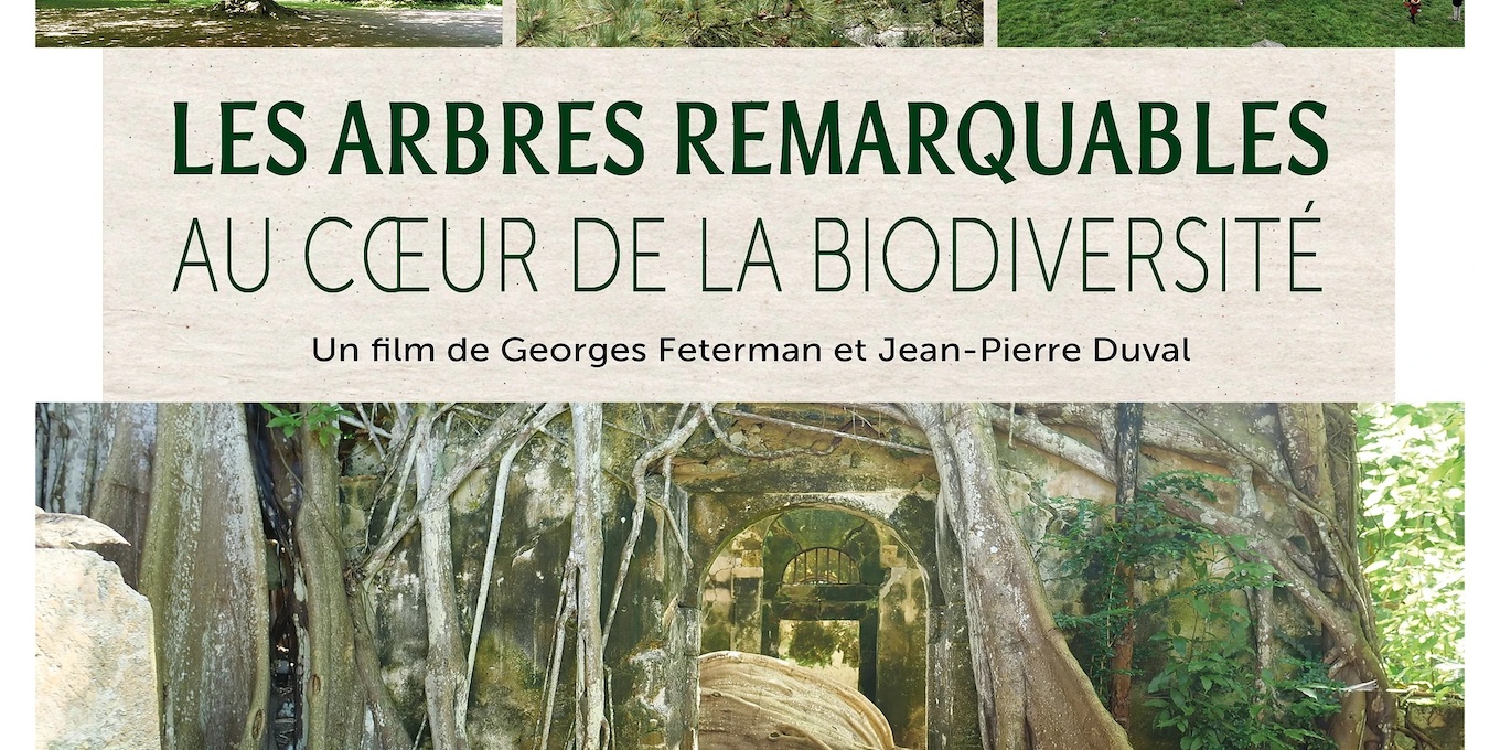 Les arbres remarquables 