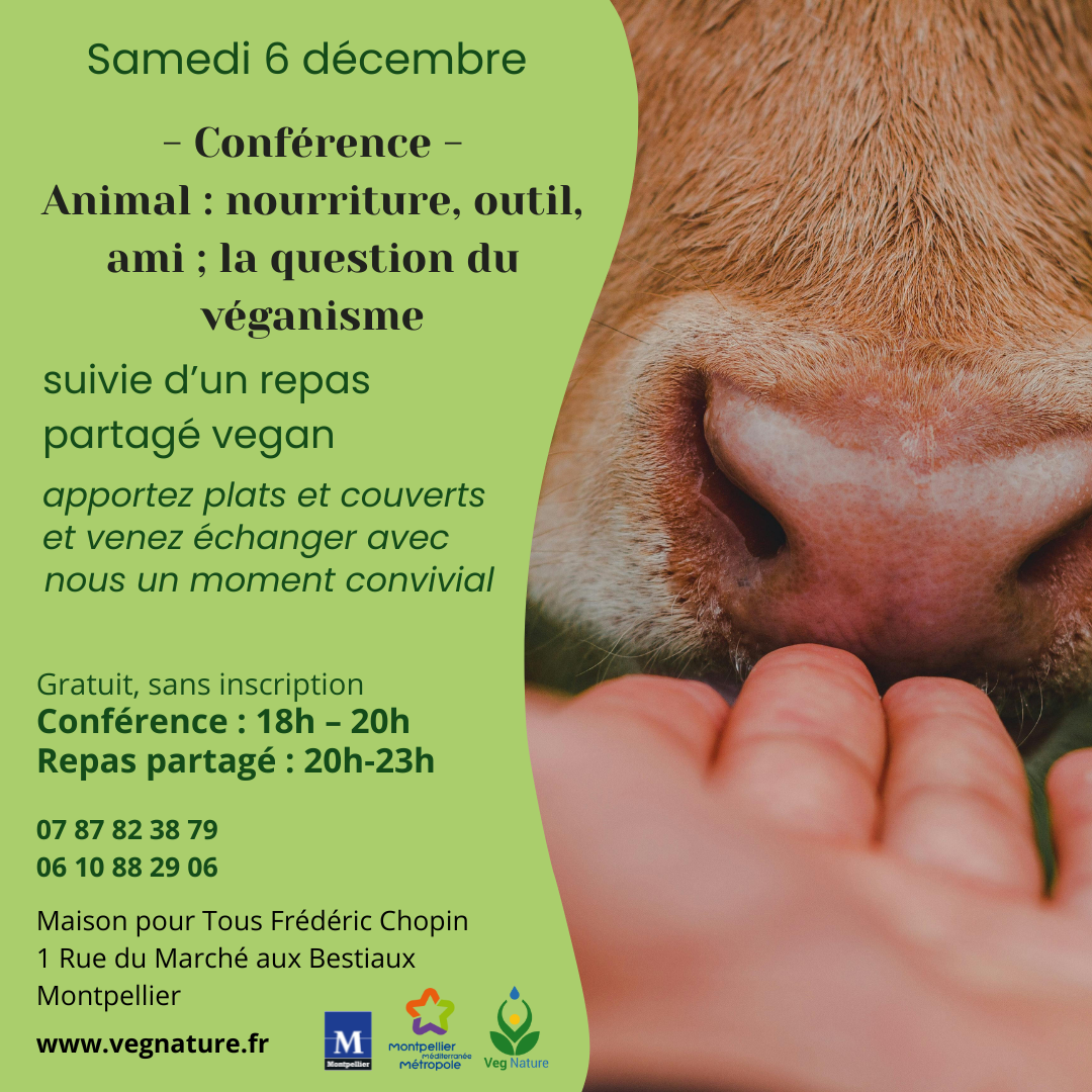 Conférence Animal, ma nourriture, outil, ami suivie de repas partagé Vegan