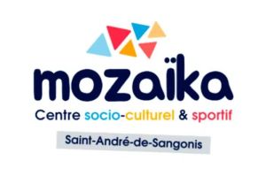 centre socio-culturel et sportif Mozaïka