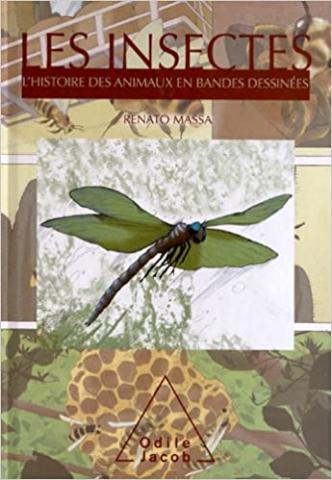 insectes