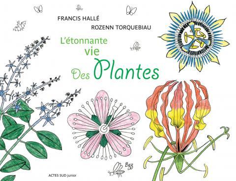 plantes