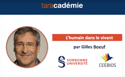 extrait de la conférence