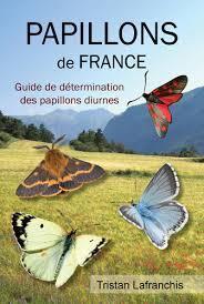 image de couverture - papillons