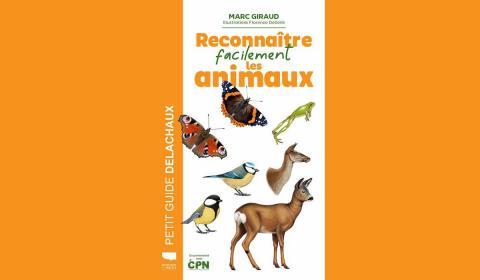 illustration d'animaux