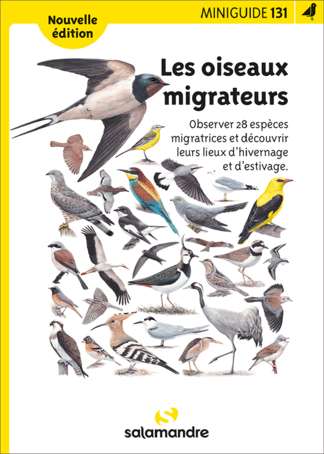image de couverture / oiseaux migrateurs