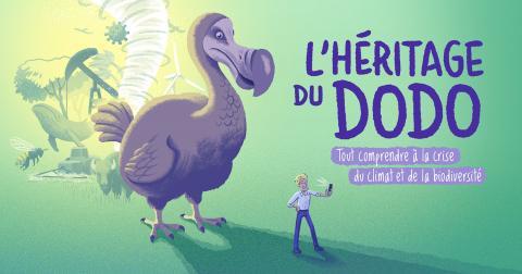image de couverture / dodo