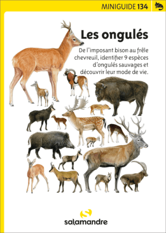 image de couvertures / ongulés