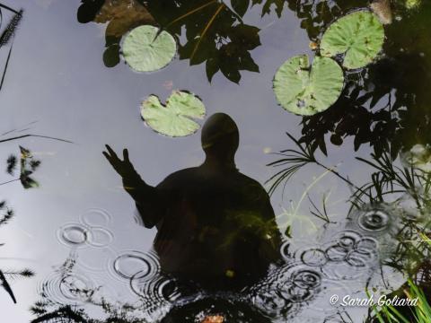 copyright : Sarah Goliard