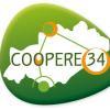coopere 34